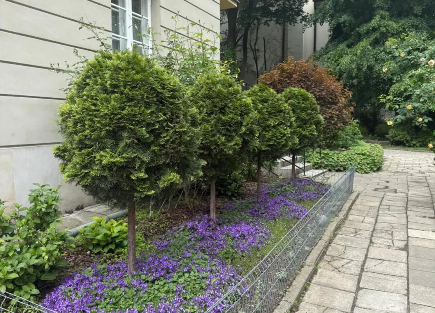 Mostowa Apartament Old Town Warszawa Warschau